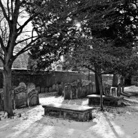 Gravestones in February